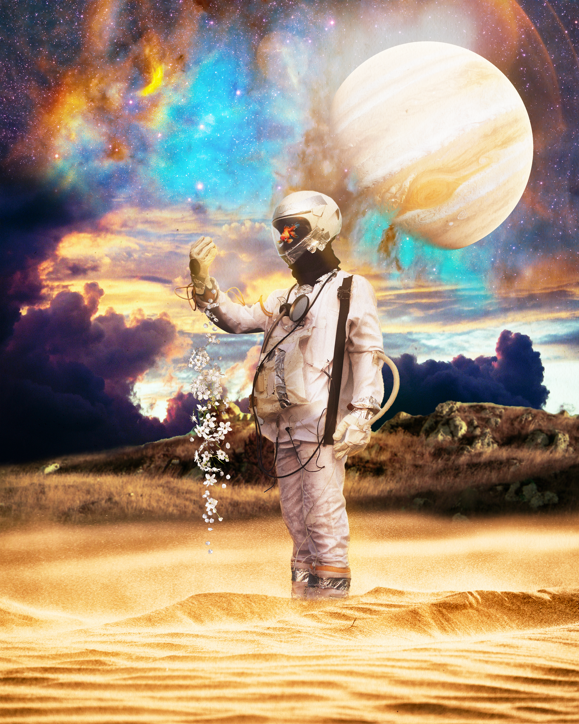 Astronaut Field