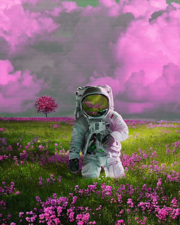 Astronaut Field